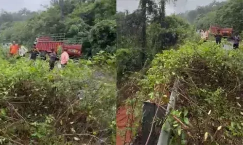 കനത്ത മഴ: നെല്ക്കയില് മരം കടപുഴകി വീണ് വൈദ്യുതി ലൈന് പൊട്ടി വീണു; ഗതാഗതം തടസ്സപ്പെട്ടു കനത്ത മഴ: നെല്ക്കയില് മരം കടപുഴകി വീണ് വൈദ്യുതി ലൈന് പൊട്ടി വീണു; ഗതാഗതം തടസ്സപ്പെട്ടു