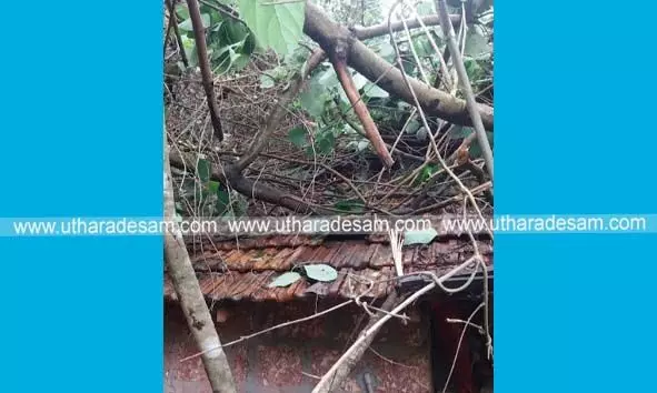 ഷിറിയയില് കുന്നിടിഞ്ഞ് വീഴുന്നതിനിടെ മരം വീടിന് മുകളിലേക്ക് വീണു; കുടുംബാംഗങ്ങള് അത്ഭുതകരമായി രക്ഷപ്പെട്ടു ഷിറിയയില് കുന്നിടിഞ്ഞ് വീഴുന്നതിനിടെ മരം വീടിന് മുകളിലേക്ക് വീണു; കുടുംബാംഗങ്ങള് അത്ഭുതകരമായി രക്ഷപ്പെട്ടു