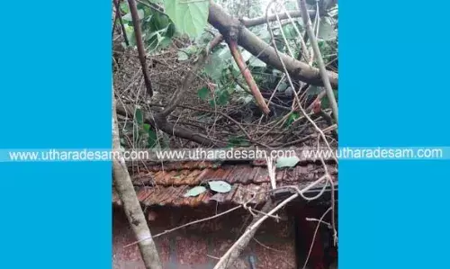ഷിറിയയില് കുന്നിടിഞ്ഞ് വീഴുന്നതിനിടെ മരം വീടിന് മുകളിലേക്ക് വീണു; കുടുംബാംഗങ്ങള് അത്ഭുതകരമായി രക്ഷപ്പെട്ടു ഷിറിയയില് കുന്നിടിഞ്ഞ് വീഴുന്നതിനിടെ മരം വീടിന് മുകളിലേക്ക് വീണു; കുടുംബാംഗങ്ങള് അത്ഭുതകരമായി രക്ഷപ്പെട്ടു