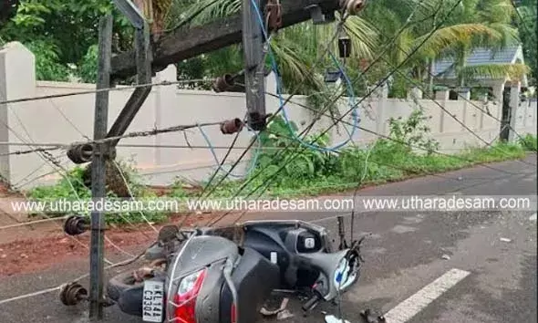 ചെമ്പരിക്കയില്‍ തെങ്ങ് വീണ് നാല് ഇലക്ട്രിക് പോസ്റ്റുകള്‍ തകര്‍ന്നു; ഒരാള്‍ക്ക് പരിക്ക്