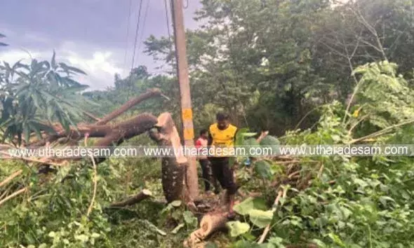 ഉത്തരദേശം വാര്‍ത്ത ഫലം കണ്ടു; പുത്തിഗെയിലെ വീട്ടുപറമ്പിലെ തകര്‍ന്ന് വീഴാറായ വൈദ്യുതി തൂണ്‍ മാറ്റി