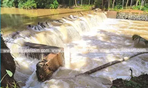 ഏത്തടുക്ക-നേരപ്പാടി തടയണയുടെ പലക നീക്കിയില്ല; സംരക്ഷണ ഭിത്തി തകര്ന്നു, കൃഷിയിടത്തില് വെള്ളം കയറി ഏത്തടുക്ക-നേരപ്പാടി തടയണയുടെ പലക നീക്കിയില്ല; സംരക്ഷണ ഭിത്തി തകര്ന്നു, കൃഷിയിടത്തില് വെള്ളം കയറി