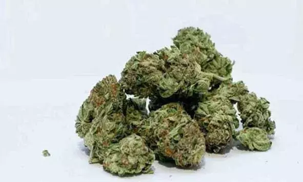 റെയില്‍വേ സ്റ്റേഷനില്‍ നിന്ന് കഞ്ചാവുമായി ഓടി രക്ഷപ്പെടാന്‍ യുവാവിന്റെ ശ്രമം; പിന്തുടര്‍ന്ന് പിടികൂടി പൊലീസ്