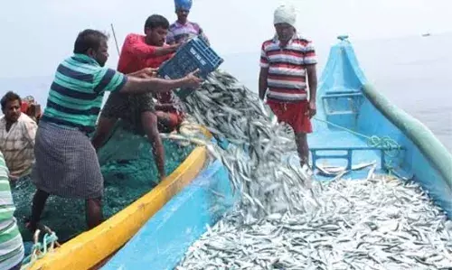 เด
เดจเดงเดฟเดเตเดค เดฎเดคเตเดธเตเดฏเดฌเดจเตเดงเดจเด; เดชเดฟเดเดฟเดเตเดเดชเตเดชเตเดเตเดเดพเดฒเตโ เดถเดเตเดคเดฎเดพเดฏ เดจเดเดชเดเดฟเดเดณเตเด เดชเดฟเดดเดฏเตเด เดเดเดพเดเตเดเตเด เด
เดจเดงเดฟเดเตเดค เดฎเดคเตเดธเตเดฏเดฌเดจเตเดงเดจเด; เดชเดฟเดเดฟเดเตเดเดชเตเดชเตเดเตเดเดพเดฒเตโ เดถเดเตเดคเดฎเดพเดฏ เดจเดเดชเดเดฟเดเดณเตเด เดชเดฟเดดเดฏเตเด เดเดเดพเดเตเดเตเด