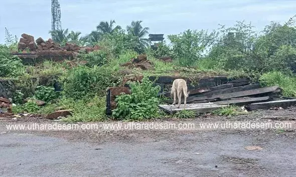 സ്‌കൂള്‍ ഗ്രൗണ്ടിന് സമീപം ദ്രവിച്ച കെട്ടിടസാമഗ്രികള്‍; കാലുകളില്‍ ആണികളും മറ്റും തുളച്ചു കയറി വിദ്യാര്‍ത്ഥികള്‍ക്ക് ദുരിതം