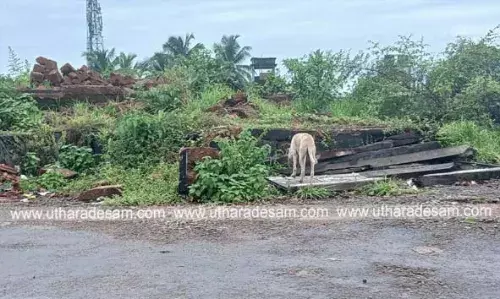 സ്കൂള് ഗ്രൗണ്ടിന് സമീപം ദ്രവിച്ച കെട്ടിടസാമഗ്രികള്; കാലുകളില് ആണികളും മറ്റും തുളച്ചു കയറി വിദ്യാര്ത്ഥികള്ക്ക് ദുരിതം സ്കൂള് ഗ്രൗണ്ടിന് സമീപം ദ്രവിച്ച കെട്ടിടസാമഗ്രികള്; കാലുകളില് ആണികളും മറ്റും തുളച്ചു കയറി വിദ്യാര്ത്ഥികള്ക്ക് ദുരിതം