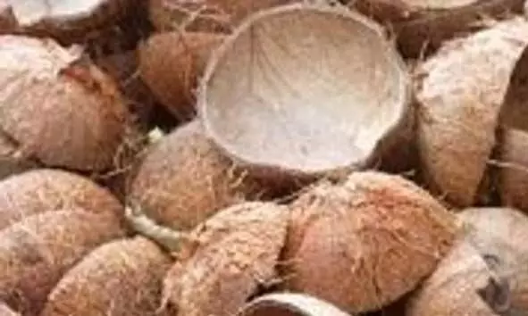 തേങ്ങക്ക് പിന്നാലെ ചിരട്ടക്കും വില കുതിച്ച് കയറുന്നു; കൊടിയമ്മയില് കടക്ക് പുറത്ത് സൂക്ഷിച്ച 6 ചാക്ക് ചിരട്ട കവര്ന്നു തേങ്ങക്ക് പിന്നാലെ ചിരട്ടക്കും വില കുതിച്ച് കയറുന്നു; കൊടിയമ്മയില് കടക്ക് പുറത്ത് സൂക്ഷിച്ച 6 ചാക്ക് ചിരട്ട കവര്ന്നു
