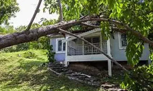 เดฌเตเดฃเตเดเดฟเดเตเดเดพเดฒเดฟเดฒเตโ เดเตเดฑเตเดฑเดจเตโ เดชเตเดฒเดพเดตเต เดเดเดชเตเดดเดเดฟ เดตเตเดฃเต เดตเตเดเต เดคเดเดฐเตโเดจเตเดจเต; เดเตเดเตเดเดฌเดพเดเดเดเตเดเดณเตโ เดชเตเดฑเดคเตเดคเตเดเตเดเตเดเดฟเดฏเดคเดฟเดจเดพเดฒเตโ เดฐเดเตเดทเดชเตเดชเตเดเตเดเต เดฌเตเดฃเตเดเดฟเดเตเดเดพเดฒเดฟเดฒเตโ เดเตเดฑเตเดฑเดจเตโ เดชเตเดฒเดพเดตเต เดเดเดชเตเดดเดเดฟ เดตเตเดฃเต เดตเตเดเต เดคเดเดฐเตโเดจเตเดจเต; เดเตเดเตเดเดฌเดพเดเดเดเตเดเดณเตโ เดชเตเดฑเดคเตเดคเตเดเตเดเตเดเดฟเดฏเดคเดฟเดจเดพเดฒเตโ เดฐเดเตเดทเดชเตเดชเตเดเตเดเต