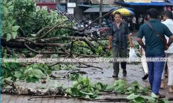 സ്കൂളിന് സമീപത്തെ റോഡില് അപകടാവസ്ഥയിലായിരുന്ന രണ്ട് മരങ്ങള് പഞ്ചായത്ത് മുറിച്ചുമാറ്റി സ്കൂളിന് സമീപത്തെ റോഡില് അപകടാവസ്ഥയിലായിരുന്ന രണ്ട് മരങ്ങള് പഞ്ചായത്ത് മുറിച്ചുമാറ്റി