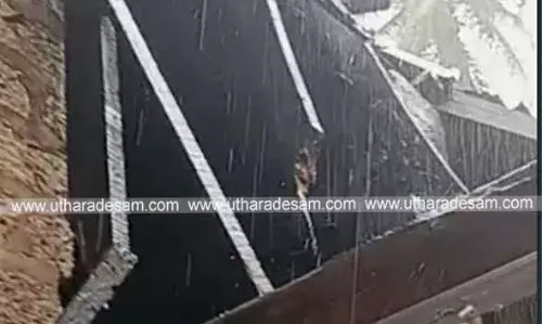 കനത്ത മഴയില് കൊടിയമ്മയില് വീട് തകര്ന്നു; കുടുംബം പരിക്കേല്ക്കാതെ രക്ഷപ്പെട്ടു കനത്ത മഴയില് കൊടിയമ്മയില് വീട് തകര്ന്നു; കുടുംബം പരിക്കേല്ക്കാതെ രക്ഷപ്പെട്ടു