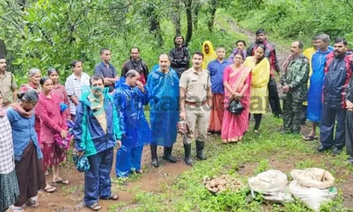 വന്യജീവികള്ക്കുള്ള ഭക്ഷണം ലക്ഷ്യം; വനത്തില്  വിത്തുരുളകള് നിക്ഷേപിച്ച് വനപാലകരും നാട്ടുകാരും വന്യജീവികള്ക്കുള്ള ഭക്ഷണം ലക്ഷ്യം; വനത്തില്  വിത്തുരുളകള് നിക്ഷേപിച്ച് വനപാലകരും നാട്ടുകാരും