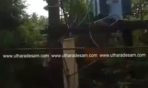 വൈദ്യുതി ട്രാന്സ് ഫോര്മറിലും, ലൈനിലും പടര്ന്ന് കിടക്കുന്ന കാട്ടുവള്ളികള് അപകട ഭീഷണിയാകുന്നു; വെട്ടിമാറ്റണമെന്ന ആവശ്യവുമായി പ്രദേശവാസികള് വൈദ്യുതി ട്രാന്സ് ഫോര്മറിലും, ലൈനിലും പടര്ന്ന് കിടക്കുന്ന കാട്ടുവള്ളികള് അപകട ഭീഷണിയാകുന്നു; വെട്ടിമാറ്റണമെന്ന ആവശ്യവുമായി പ്രദേശവാസികള്