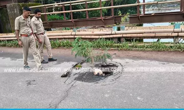 ചിത്താരി പാലത്തില്‍ വലിയ കുഴി രൂപപ്പെട്ടു: ഗതാഗതം നിരോധിച്ചു
