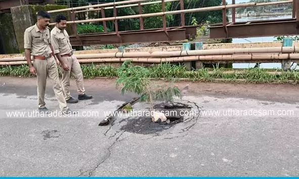 ചിത്താരി പാലത്തില്‍ വലിയ കുഴി രൂപപ്പെട്ടു: ഗതാഗതം നിരോധിച്ചു