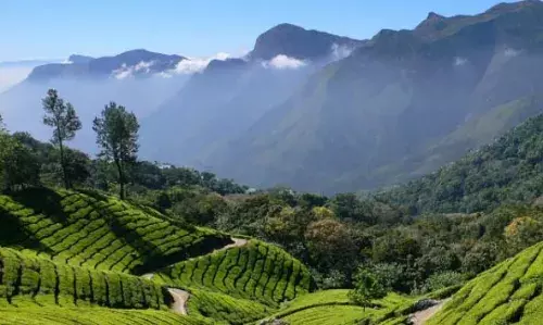 വാല്‍പാറയിലേക്ക് ഒരു യാത്ര പോയാലോ? ചുരം കയറിയുള്ള ഈ യാത്രയില്‍ ആസ്വദിക്കാം മനോഹരമായ പ്രകൃതി ഭംഗി