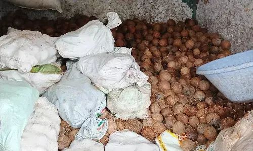 തേങ്ങക്കും ചിരട്ടക്കും വില കുതിച്ചുകയറി; പിന്നാലെ മോഷണവും അധികരിച്ചു തേങ്ങക്കും ചിരട്ടക്കും വില കുതിച്ചുകയറി; പിന്നാലെ മോഷണവും അധികരിച്ചു