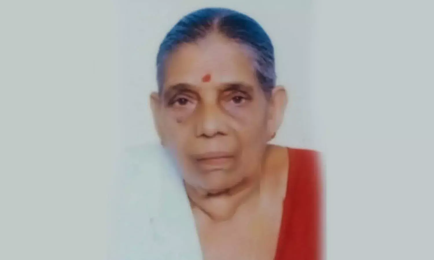 വി. നാരായണി
