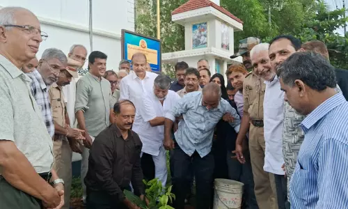 ഭൂമിയെ സ്വര്‍ഗമാക്കാം: തളങ്കര സ്‌കൂള്‍ 75 മേറ്റ്‌സ് മൂന്നാമത് വനവല്‍ക്കരണ പദ്ധതിക്ക് തുടക്കം