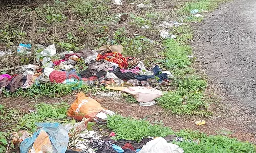 മാലിന്യമുക്ത പഞ്ചായത്ത് പ്രഖ്യാപനത്തിലൊതുങ്ങി; ബദിയടുക്ക-പെര്‍ള റോഡരികില്‍ മാലിന്യക്കൂമ്പാരം