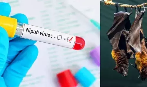 เดฎเดฒเดชเตเดชเตเดฑเดคเตเดคเต เดฎเดฐเดฟเดเตเด 17 เดเดพเดฐเดฟเดเตเดเต เดจเดฟเดช เดฌเดพเดงเดฟเดเตเดเดฟเดฐเตเดจเตเดจเตเดตเตเดจเตเดจเต เดธเดเดถเดฏเด; เดธเดพเดฎเตเดชเดฟเดณเตโ เดชเดฐเดฟเดถเตเดงเดจเดฏเตเดเตเดเต เด
เดฏเดเตเดเต เดฎเดฒเดชเตเดชเตเดฑเดคเตเดคเต เดฎเดฐเดฟเดเตเด 17 เดเดพเดฐเดฟเดเตเดเต เดจเดฟเดช เดฌเดพเดงเดฟเดเตเดเดฟเดฐเตเดจเตเดจเตเดตเตเดจเตเดจเต เดธเดเดถเดฏเด; เดธเดพเดฎเตเดชเดฟเดณเตโ เดชเดฐเดฟเดถเตเดงเดจเดฏเตเดเตเดเต เด
เดฏเดเตเดเต