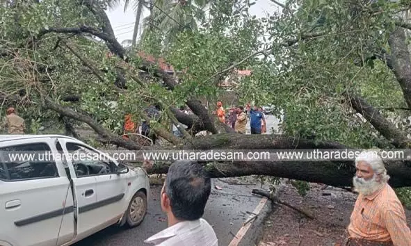 ഓടുന്ന കാറിന് മുകളില് മരം വീണു; കുടുംബം അത്ഭുതകരമായി രക്ഷപ്പെട്ടു; ഗര്ഭിണിക്ക് നിസാര പരിക്ക് ഓടുന്ന കാറിന് മുകളില് മരം വീണു; കുടുംബം അത്ഭുതകരമായി രക്ഷപ്പെട്ടു; ഗര്ഭിണിക്ക് നിസാര പരിക്ക്