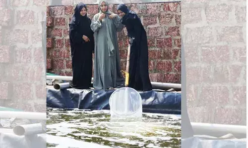 മത്സ്യകൃഷിയില്‍ പെണ്‍കൂട്ടായ്മയുടെ വിജയം; കുമ്പള സീ പേള്‍ അക്വാ ഫാമിന്റെ വിജയഗാഥ