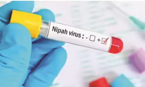 വീണ്ടും നിപ വേണം ജാഗ്രത