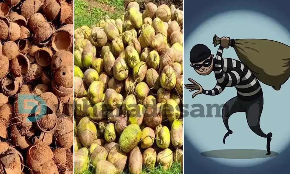 കള്ളന്‍മാര്‍ക്ക് പ്രിയം ചിരട്ടയും തേങ്ങയും; മോഷണം പതിവാകുന്നു
