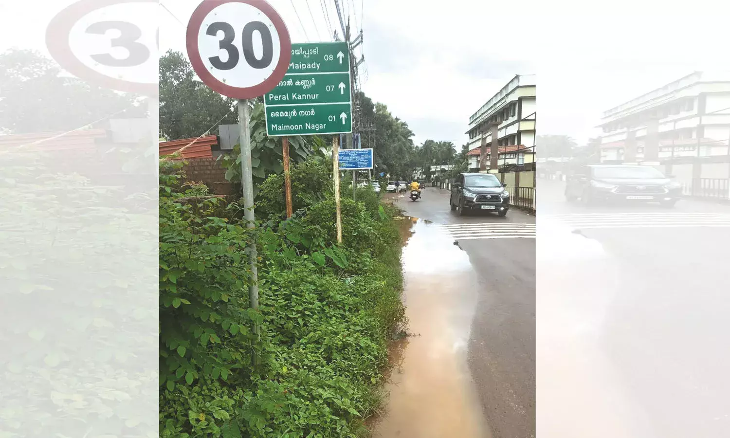 മൊഗ്രാല്‍ സ്‌കൂള്‍ റോഡില്‍ വെള്ളക്കെട്ടും കാടും; വിദ്യാര്‍ത്ഥികള്‍ അടക്കമുള്ള കാല്‍നടയാത്രക്കാര്‍ക്ക് ദുരിതം