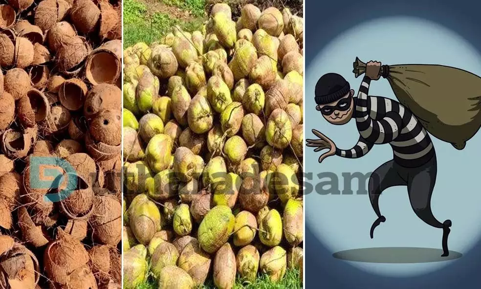 കള്ളന്മാര്ക്ക് പ്രിയം ചിരട്ടയും തേങ്ങയും; മോഷണം പതിവാകുന്നു കള്ളന്മാര്ക്ക് പ്രിയം ചിരട്ടയും തേങ്ങയും; മോഷണം പതിവാകുന്നു