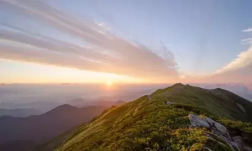 കൊളുക്കുമല ടീ എസ്റ്റേറ്റ്: ഇന്ത്യയിലെ ഏറ്റവും ഉയരമുള്ള തേയിലത്തോട്ടത്തിലൂടെ ഒരു യാത്ര; കാഴ്ചകള് ഒരുപാട് കൊളുക്കുമല ടീ എസ്റ്റേറ്റ്: ഇന്ത്യയിലെ ഏറ്റവും ഉയരമുള്ള തേയിലത്തോട്ടത്തിലൂടെ ഒരു യാത്ര; കാഴ്ചകള് ഒരുപാട്