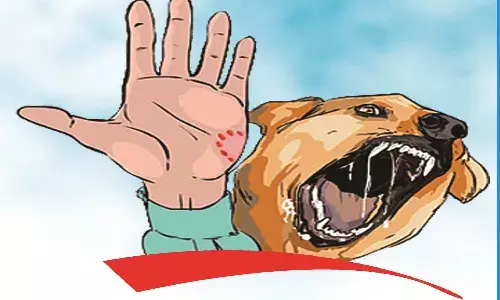 പട്ടി, മനുഷ്യന് മരുന്നു കമ്പനി പട്ടി, മനുഷ്യന് മരുന്നു കമ്പനി