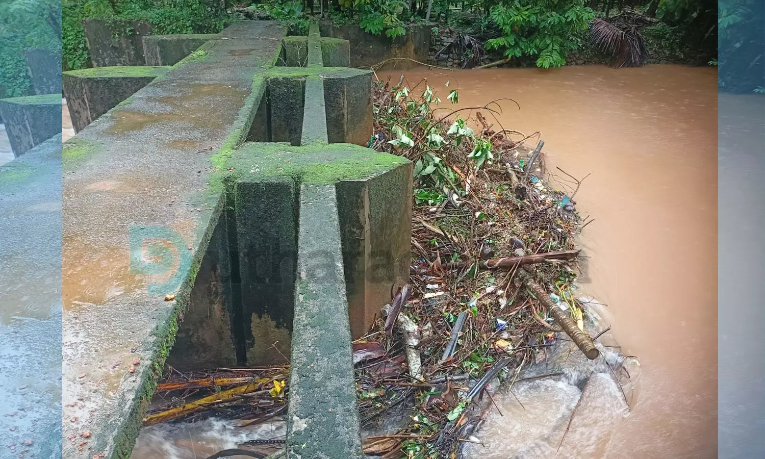 തോരാത്ത മഴയില്‍ പുഴകളും തോടുകളും കരകവിഞ്ഞൊഴുകുന്നു