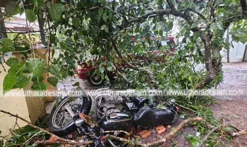 കാഞ്ഞങ്ങാട് മരം പൊട്ടി വീണ് 2 വാഹനങ്ങള്ക്ക് കേടുപാടുകള് സംഭവിച്ചു: വന് ദുരന്തം ഒഴിവായത് തലനാരിഴയ്ക്ക് കാഞ്ഞങ്ങാട് മരം പൊട്ടി വീണ് 2 വാഹനങ്ങള്ക്ക് കേടുപാടുകള് സംഭവിച്ചു: വന് ദുരന്തം ഒഴിവായത് തലനാരിഴയ്ക്ക്