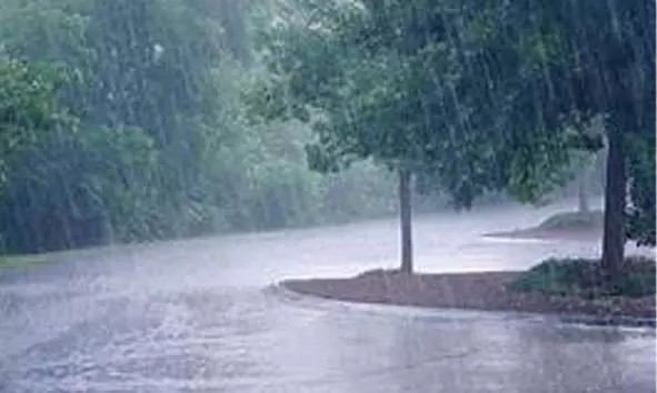 ബംബ്രാണ വയലില് വീടുകളിലേക്ക് വെള്ളം കയറി; പതിനഞ്ചില് പരം കുടുംബങ്ങളെ മാറ്റി പാര്പ്പിച്ചു ബംബ്രാണ വയലില് വീടുകളിലേക്ക് വെള്ളം കയറി; പതിനഞ്ചില് പരം കുടുംബങ്ങളെ മാറ്റി പാര്പ്പിച്ചു
