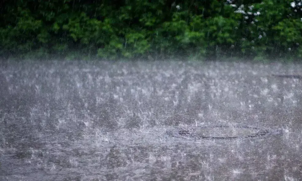 മഴക്കാല അപകടങ്ങളെ നേരിടാന്‍ സ്‌കൂളുകള്‍ നടപടി സ്വീകരിക്കണം; കര്‍ശന നിര്‍ദേശം