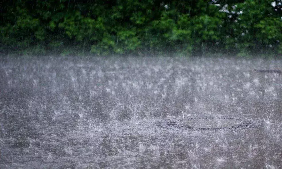 മഴക്കാല അപകടങ്ങളെ നേരിടാന്‍ സ്‌കൂളുകള്‍ നടപടി സ്വീകരിക്കണം; കര്‍ശന നിര്‍ദേശം