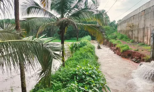 കരാര് കമ്പനി തോടിന്റെ പകുതിഭാഗം നികത്തി;  മൂന്നേക്കറോളം കൃഷിസ്ഥലം വെള്ളത്തില് കരാര് കമ്പനി തോടിന്റെ പകുതിഭാഗം നികത്തി;  മൂന്നേക്കറോളം കൃഷിസ്ഥലം വെള്ളത്തില്