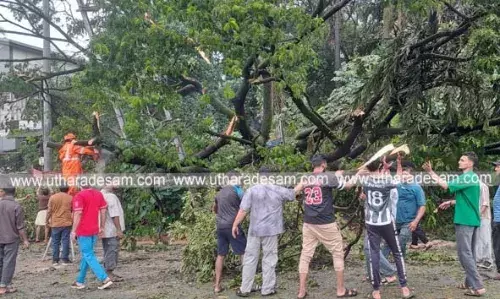 ചാമുണ്ഡിക്കുന്ന് വില്ലേജ് ഓഫിസിന് സമീപം കാറുകള്ക്ക് മുകളില് കൂറ്റന് ആല്മരം വീണു ചാമുണ്ഡിക്കുന്ന് വില്ലേജ് ഓഫിസിന് സമീപം കാറുകള്ക്ക് മുകളില് കൂറ്റന് ആല്മരം വീണു