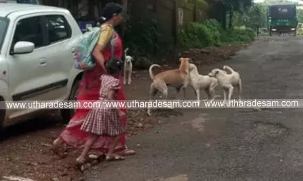 അഞ്ച് വയസുകാരിക്ക് നേരെ   പാഞ്ഞടുത്ത് തെരുവുനായകള്‍