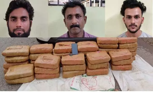 കാറുകളില്‍ കടത്താന്‍ ശ്രമിച്ച 123 കിലോ കഞ്ചാവുമായി അഡൂര്‍ ബാങ്ക് വൈസ് പ്രസിഡണ്ട് ഉള്‍പ്പെടെ 3 പേര്‍ അറസ്റ്റില്‍