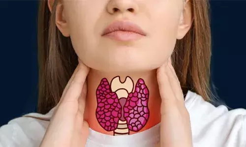 തൈറോയിഡിന്റെ ആരോഗ്യം സംരക്ഷിക്കുന്ന ഭക്ഷണങ്ങളെ കുറിച്ച് അറിയാം