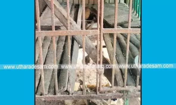 മുളിയാറില് പുലി സാന്നിധ്യം? വളര്ത്തുനായയെ കടിച്ചുകൊണ്ടുപോയതായി വീട്ടുകാര് മുളിയാറില് പുലി സാന്നിധ്യം? വളര്ത്തുനായയെ കടിച്ചുകൊണ്ടുപോയതായി വീട്ടുകാര്