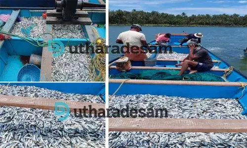 2.5 ലക്ഷം രൂപയോളം വിലമതിക്കുന്ന കുഞ്ഞന് മത്തി പിടികൂടി; കടലില് തള്ളി; നിയമലംഘനത്തിന് പിഴ ചുമത്തി 2.5 ലക്ഷം രൂപയോളം വിലമതിക്കുന്ന കുഞ്ഞന് മത്തി പിടികൂടി; കടലില് തള്ളി; നിയമലംഘനത്തിന് പിഴ ചുമത്തി