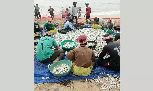 മൊഗ്രാലിലെ ചവിട്ടുവലക്കാര്‍  വലയെറിഞ്ഞു തുടങ്ങി