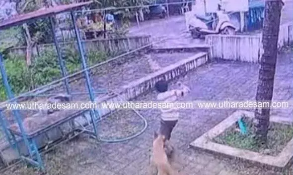 എട്ടുവയസുകാരനുള്‍പ്പെടെ രണ്ടുപേര്‍ക്ക് തെരുവ് നായയുടെ കടിയേറ്റു
