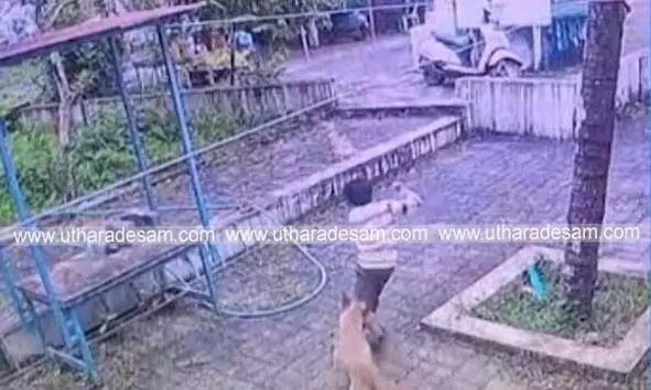 എട്ടുവയസുകാരനുള്‍പ്പെടെ രണ്ടുപേര്‍ക്ക് തെരുവ് നായയുടെ കടിയേറ്റു