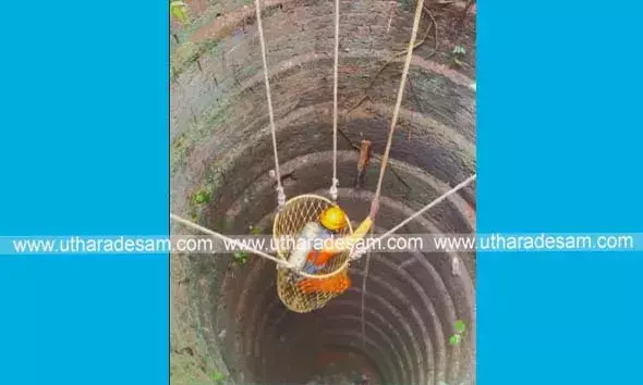 കിണറില്‍ വീണ കോഴികളെ അഗ്‌നിശമന വിഭാഗം രക്ഷപ്പെടുത്തി