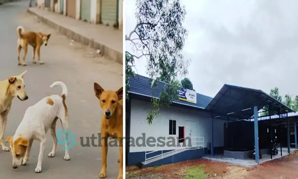 ആദ്യഘട്ടത്തില്‍ പിടികൂടിയത് 23 തെരുവുനായകളെ; സജീവമായി മുളിയാര്‍ എ.ബി.സി കേന്ദ്രം