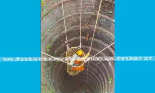 കിണറില് വീണ കോഴികളെ അഗ്നിശമന വിഭാഗം രക്ഷപ്പെടുത്തി കിണറില് വീണ കോഴികളെ അഗ്നിശമന വിഭാഗം രക്ഷപ്പെടുത്തി